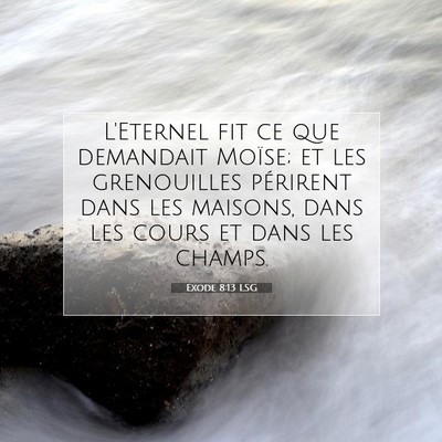 Picture 07 - Exode 8:13 LSG - L'Eternel fit ce que demandait Moïse; et les - Bible Verse Picture