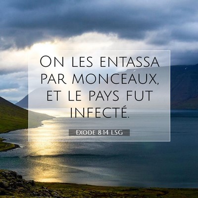 Picture 07 - Exode 8:14 LSG - On les entassa par monceaux, et le pays fut - Bible Verse Picture