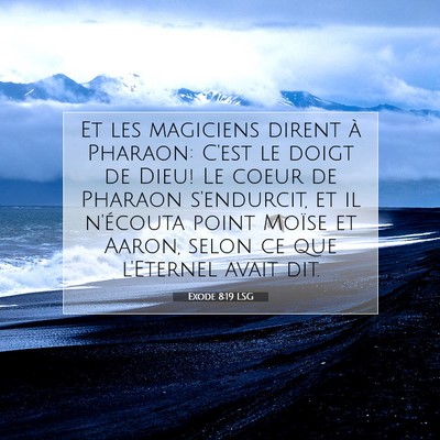 Picture 07 - Exode 8:19 LSG - Et les magiciens dirent à Pharaon: C'est le - Bible Verse Picture