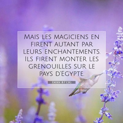 Picture 07 - Exode 8:7 LSG - Mais les magiciens en firent autant par leurs - Bible Verse Picture