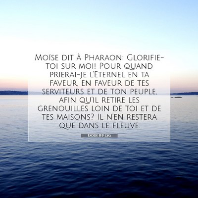 Picture 07 - Exode 8:9 LSG - Moïse dit à Pharaon: Glorifie-toi sur moi! Pour - Bible Verse Picture