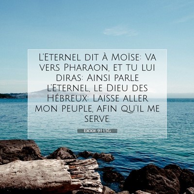 Picture 07 - Exode 9:1 LSG - L'Eternel dit à Moïse: Va vers Pharaon, et tu - Bible Verse Picture