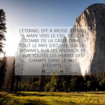 Picture 07 - Exode 9:22 LSG - L'Eternel dit à Moïse: Etends ta main vers le - Bible Verse Picture