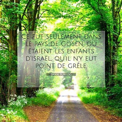 Picture 07 - Exode 9:26 LSG - Ce fut seulement dans le pays de Gosen, où - Bible Verse Picture