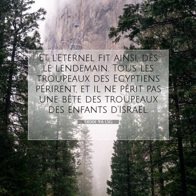 Picture 07 - Exode 9:6 LSG - Et l'Eternel fit ainsi, dès le lendemain. Tous - Bible Verse Picture