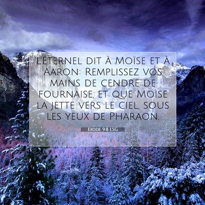 Picture 07 - Exode 9:8 LSG - L'Eternel dit à Moïse et à Aaron: Remplissez - Bible Verse Picture
