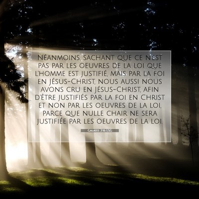Picture 07 - Galates 2:16 LSG - Néanmoins, sachant que ce n'est pas par les - Bible Verse Picture