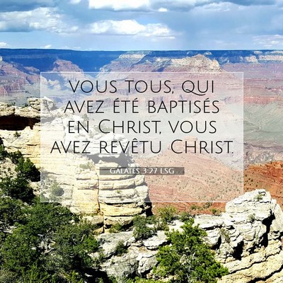 Picture 07 - Galates 3:27 LSG - vous tous, qui avez été baptisés en Christ, - Bible Verse Picture
