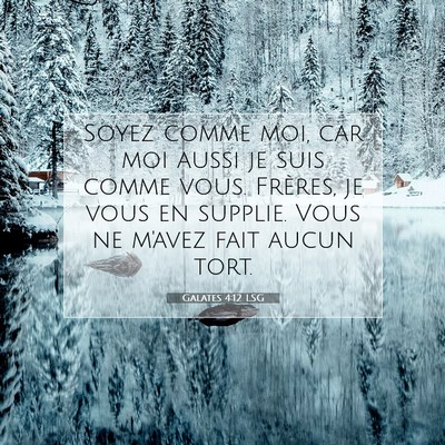 Picture 07 - Galates 4:12 LSG - Soyez comme moi, car moi aussi je suis comme - Bible Verse Picture