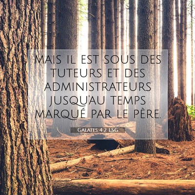 Picture 07 - Galates 4:2 LSG - mais il est sous des tuteurs et des - Bible Verse Picture