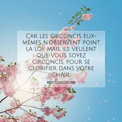 Picture 07 - Galates 6:13 LSG - Car les circoncis eux-mêmes n'observent point la - Bible Verse Picture