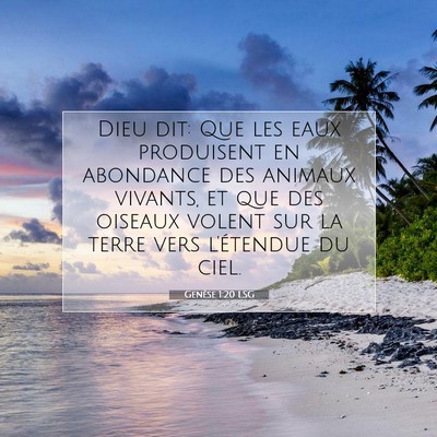 Picture 07 - Genèse 1:20 LSG - Dieu dit: Que les eaux produisent en abondance - Bible Verse Picture