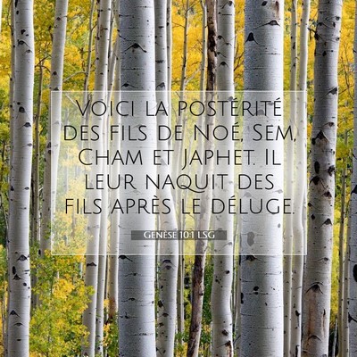Picture 07 - Genèse 10:1 LSG - Voici la postérité des fils de Noé, Sem, Cham - Bible Verse Picture