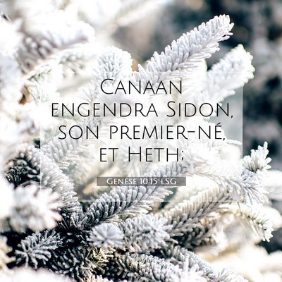 Picture 07 - Genèse 10:15 LSG - Canaan engendra Sidon, son premier-né, et - Bible Verse Picture
