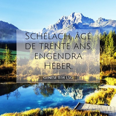 Picture 07 - Genèse 11:14 LSG - Schélach, âgé de trente ans, engendra - Bible Verse Picture