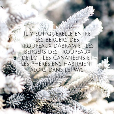 Picture 07 - Genèse 13:7 LSG - Il y eut querelle entre les bergers des troupeaux - Bible Verse Picture