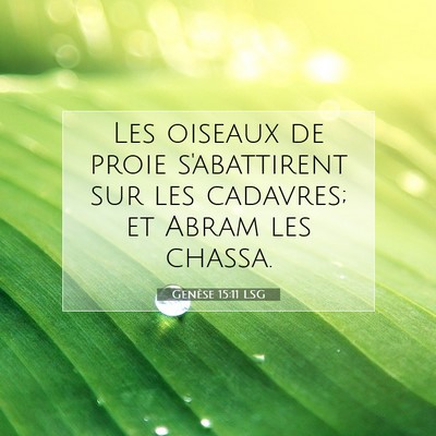 Picture 07 - Genèse 15:11 LSG - Les oiseaux de proie s'abattirent sur les - Bible Verse Picture