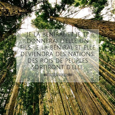 Picture 07 - Genèse 17:16 LSG - Je la bénirai, et je te donnerai d'elle un fils; - Bible Verse Picture