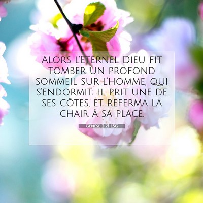 Picture 07 - Genèse 2:21 LSG - Alors l'Eternel Dieu fit tomber un profond - Bible Verse Picture
