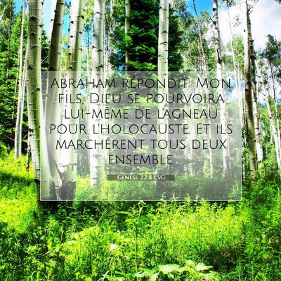 Picture 07 - Genèse 22:8 LSG - Abraham répondit: Mon fils, Dieu se pourvoira - Bible Verse Picture