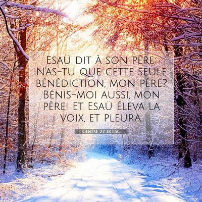 Picture 07 - Genèse 27:38 LSG - Esaü dit à son père: N'as-tu que cette seule - Bible Verse Picture