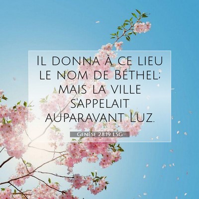 Picture 07 - Genèse 28:19 LSG - Il donna à ce lieu le nom de Béthel; mais la - Bible Verse Picture