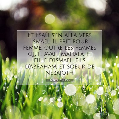 Picture 07 - Genèse 28:9 LSG - Et Esaü s'en alla vers Ismaël. Il prit pour - Bible Verse Picture