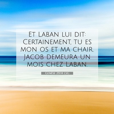 Picture 07 - Genèse 29:14 LSG - Et Laban lui dit: Certainement, tu es mon os et - Bible Verse Picture