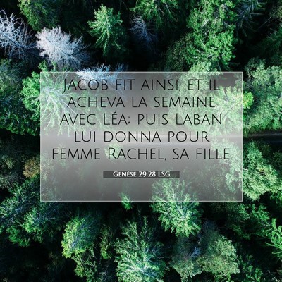 Picture 07 - Genèse 29:28 LSG - Jacob fit ainsi, et il acheva la semaine avec - Bible Verse Picture