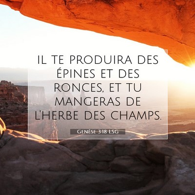 Picture 07 - Genèse 3:18 LSG - il te produira des épines et des ronces, et tu - Bible Verse Picture
