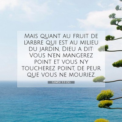 Picture 07 - Genèse 3:3 LSG - Mais quant au fruit de l'arbre qui est au milieu - Bible Verse Picture