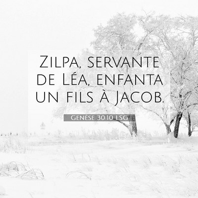 Picture 07 - Genèse 30:10 LSG - Zilpa, servante de Léa, enfanta un fils à - Bible Verse Picture