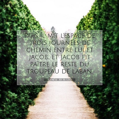 Picture 07 - Genèse 30:36 LSG - Puis il mit l'espace de trois journées de chemin - Bible Verse Picture
