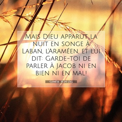 Picture 07 - Genèse 31:24 LSG - Mais Dieu apparut la nuit en songe à Laban, - Bible Verse Picture