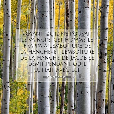 Picture 07 - Genèse 32:25 LSG - Voyant qu'il ne pouvait le vaincre, cet homme le - Bible Verse Picture