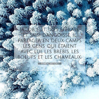 Picture 07 - Genèse 32:7 LSG - Jacob fut très effrayé, et saisi d'angoisse. Il - Bible Verse Picture