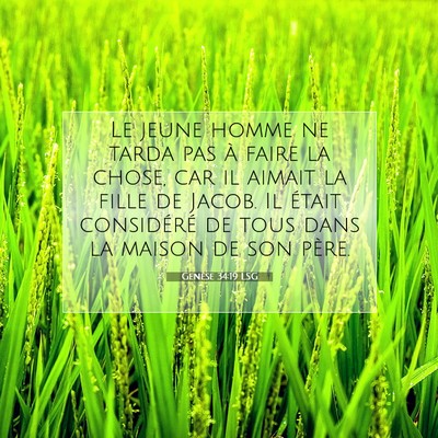 Picture 07 - Genèse 34:19 LSG - Le jeune homme ne tarda pas à faire la chose, - Bible Verse Picture