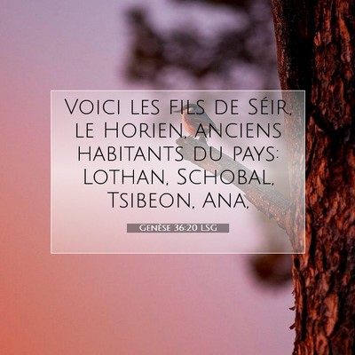 Picture 07 - Genèse 36:20 LSG - Voici les fils de Séir, le Horien, anciens - Bible Verse Picture