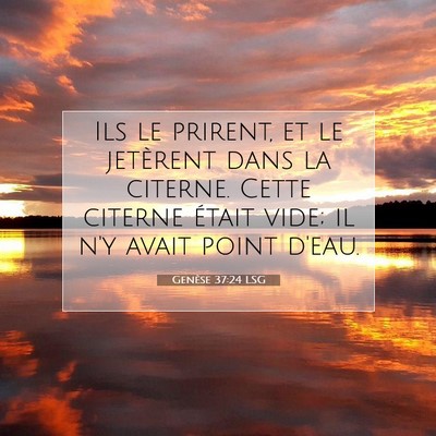 Picture 07 - Genèse 37:24 LSG - Ils le prirent, et le jetèrent dans la citerne. - Bible Verse Picture