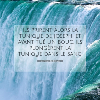Picture 07 - Genèse 37:31 LSG - Ils prirent alors la tunique de Joseph; et, ayant - Bible Verse Picture