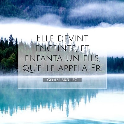 Picture 07 - Genèse 38:3 LSG - Elle devint enceinte, et enfanta un fils, qu'elle - Bible Verse Picture