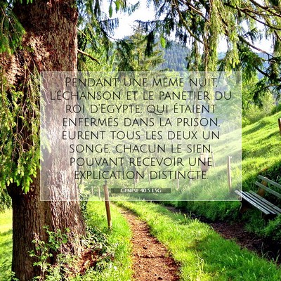 Picture 07 - Genèse 40:5 LSG - Pendant une même nuit, l'échanson et le - Bible Verse Picture