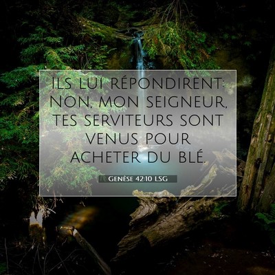 Picture 07 - Genèse 42:10 LSG - Ils lui répondirent: Non, mon seigneur, tes - Bible Verse Picture