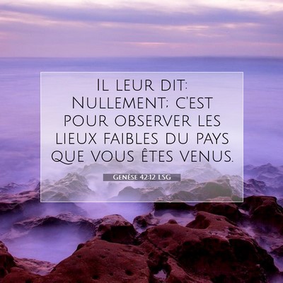 Picture 07 - Genèse 42:12 LSG - Il leur dit: Nullement; c'est pour observer les - Bible Verse Picture