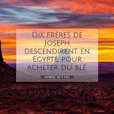 Picture 07 - Genèse 42:3 LSG - Dix frères de Joseph descendirent en Egypte, - Bible Verse Picture