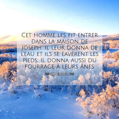 Picture 07 - Genèse 43:24 LSG - Cet homme les fit entrer dans la maison de - Bible Verse Picture