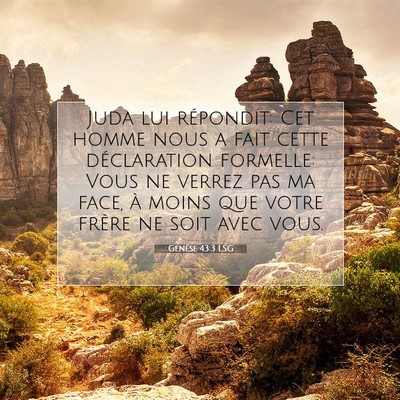Picture 07 - Genèse 43:3 LSG - Juda lui répondit: Cet homme nous a fait cette - Bible Verse Picture