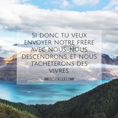 Picture 07 - Genèse 43:4 LSG - Si donc tu veux envoyer notre frère avec nous, - Bible Verse Picture