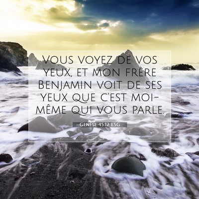 Picture 07 - Genèse 45:12 LSG - Vous voyez de vos yeux, et mon frère Benjamin - Bible Verse Picture