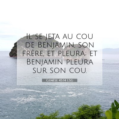 Picture 07 - Genèse 45:14 LSG - Il se jeta au cou de Benjamin, son frère, et - Bible Verse Picture